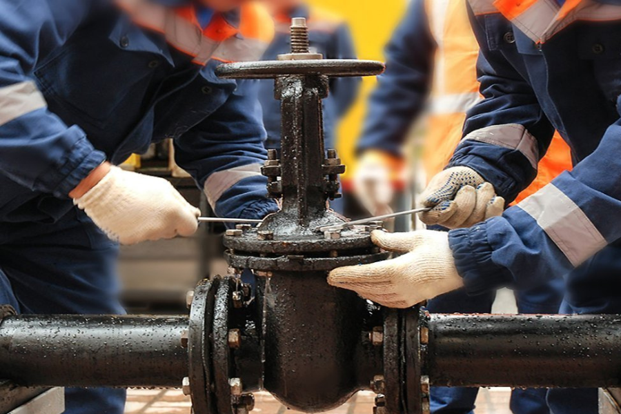 Untitled design (10)