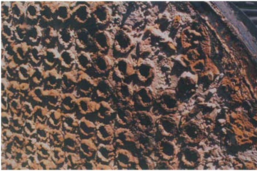 Your paragraph text (1)