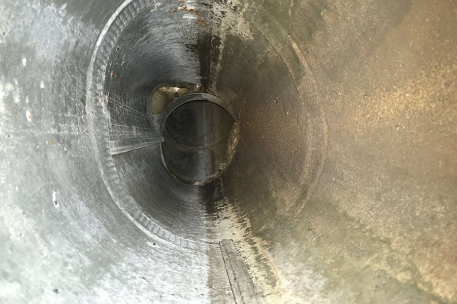 Your paragraph text (3)